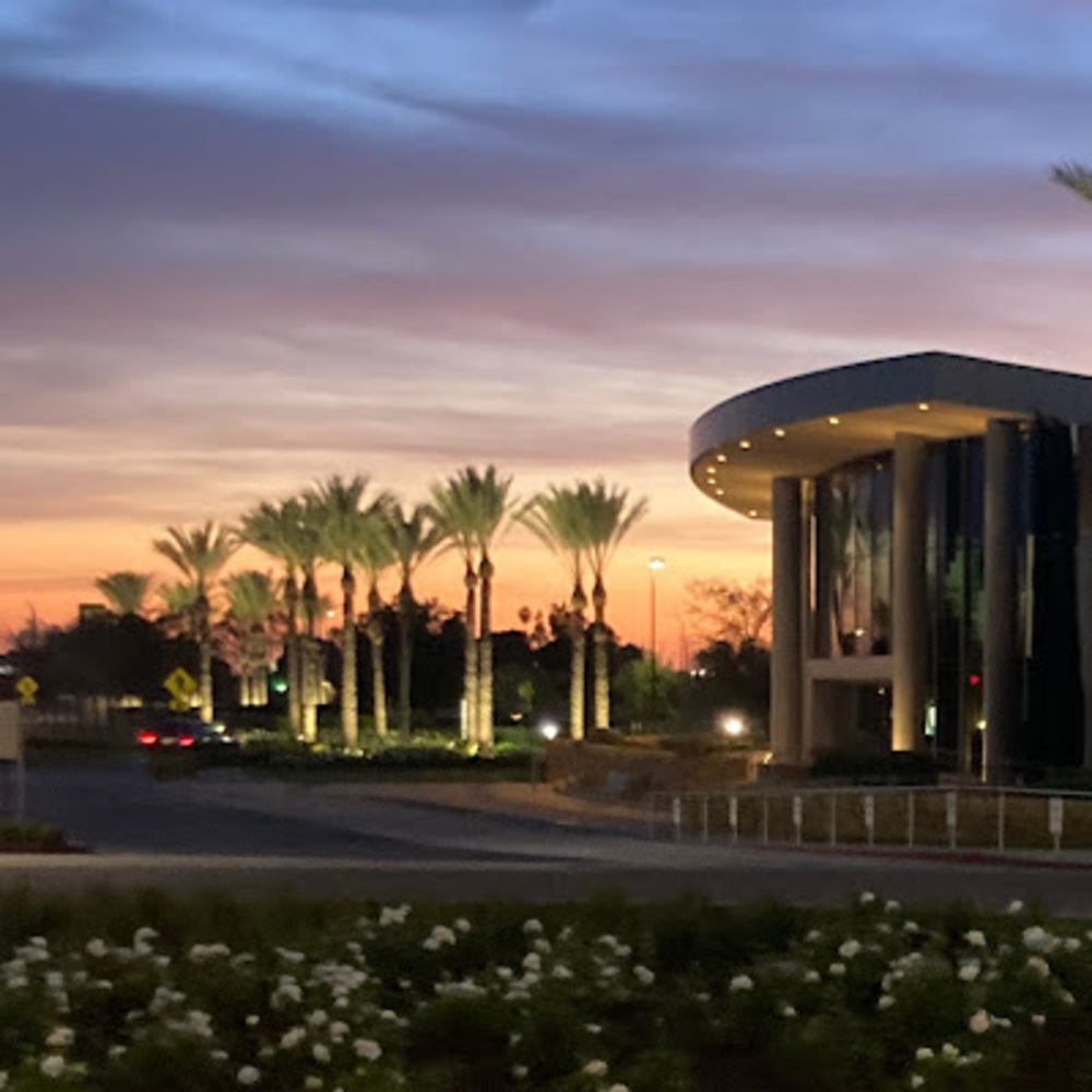 Meet your Posher, Sophia